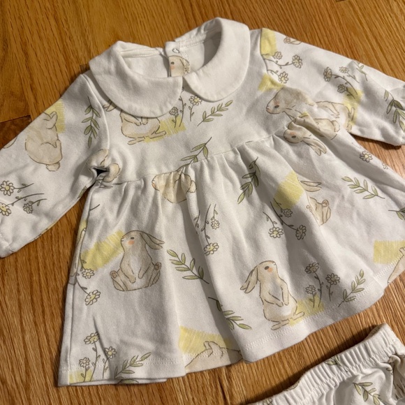 ABSOLUTELY PRECIOUS Baby Girl Easter Bunny Dress & Diaper Cover - Picture 2 of 9